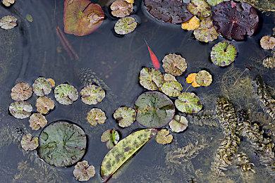 《莱莎的炼金工房3》全平台预购开启 Steam标准版售价349元